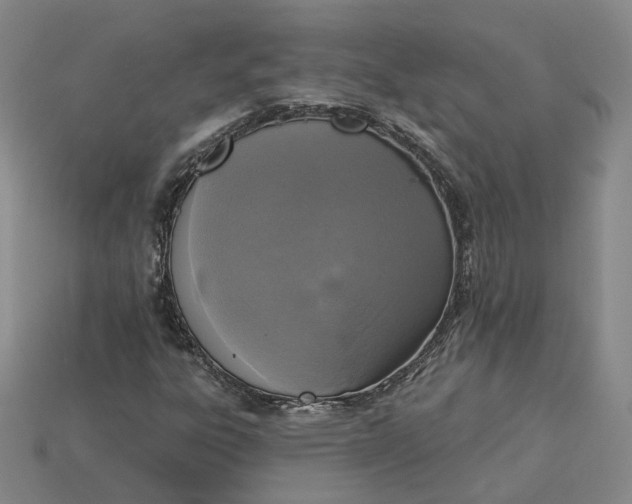 X0000115251303200911131716