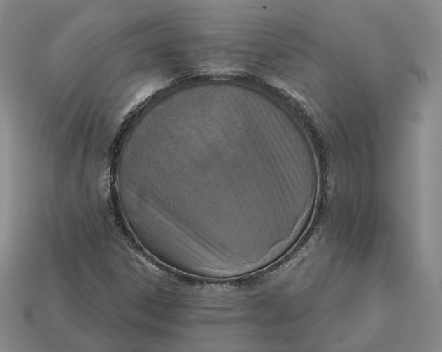 X0000115251306200911131716