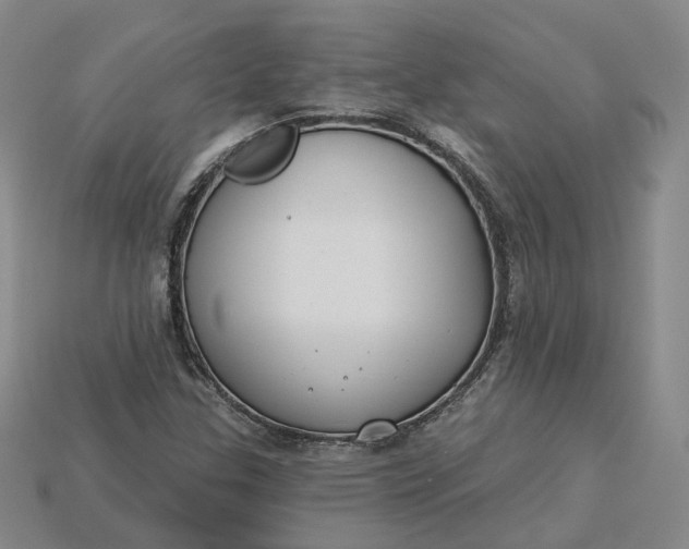 X0000115251307200911131716