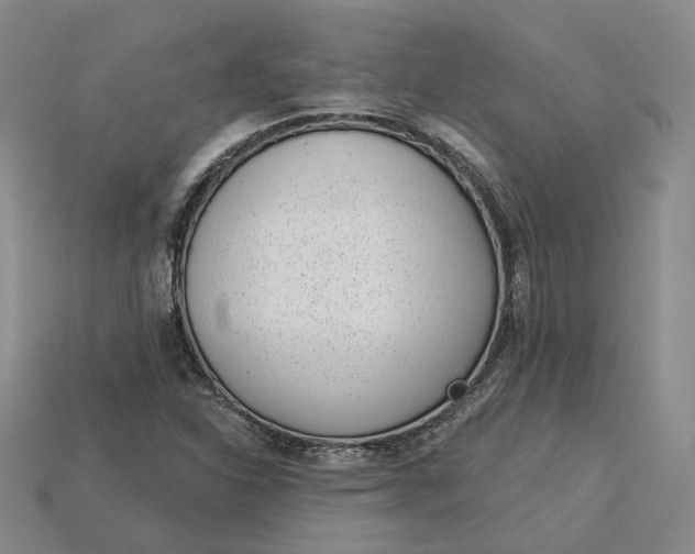 X0000115251310200911131716