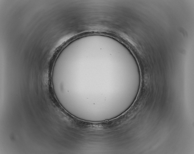 X0000115251315200911131716