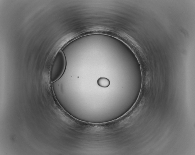 X0000115251321200911131716