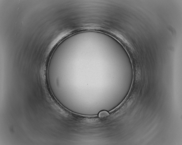 X0000115251325200911131716