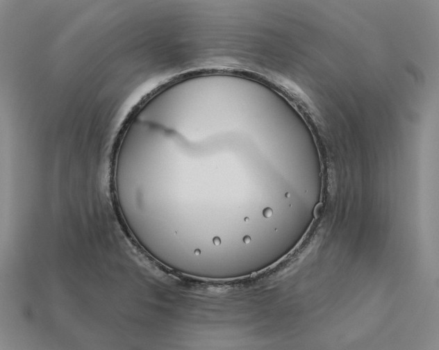 X0000115251326200911131716