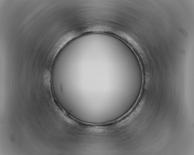 X0000115251329200911131716