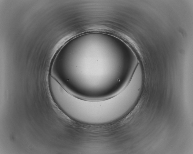 X0000115251330200911131716