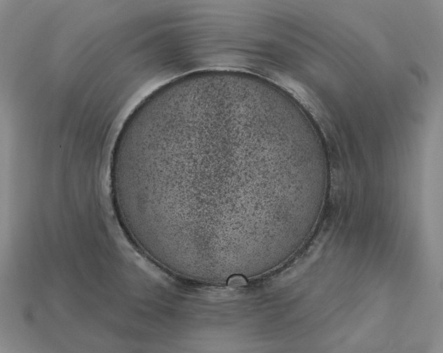 X0000115251331200911131716