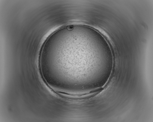 X0000115251333200911131716
