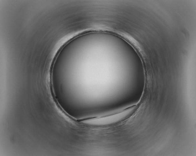 X0000115251335200911131717