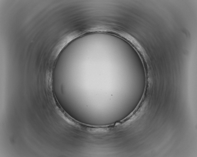 X0000115251337200911131717