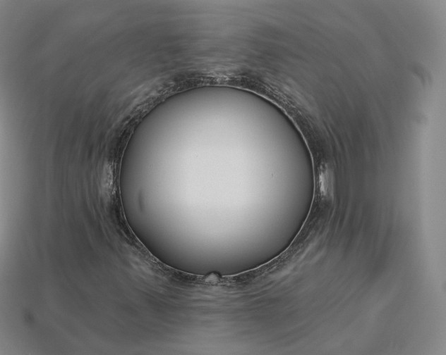 X0000115251347200911131716
