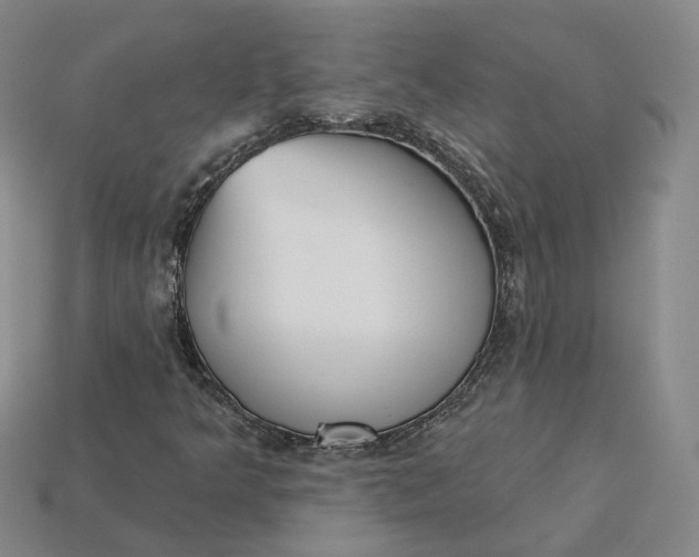 X0000115251349200911131716