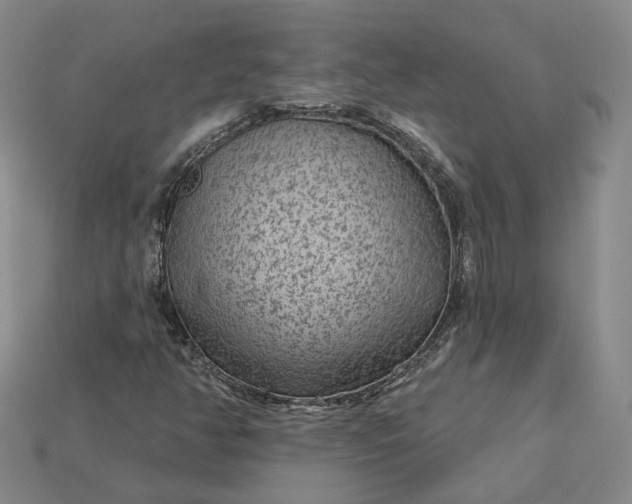 X0000115251350200911131716