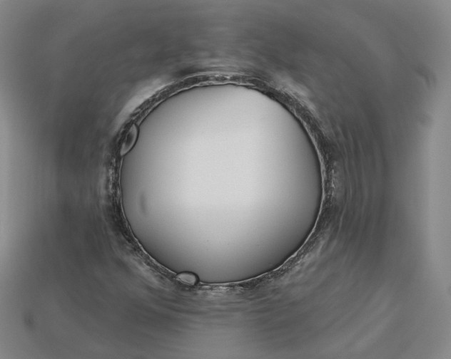 X0000115251352200911131716