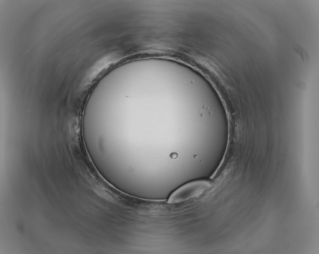 X0000115251355200911131716