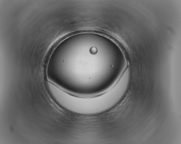 X0000115251356200911131716