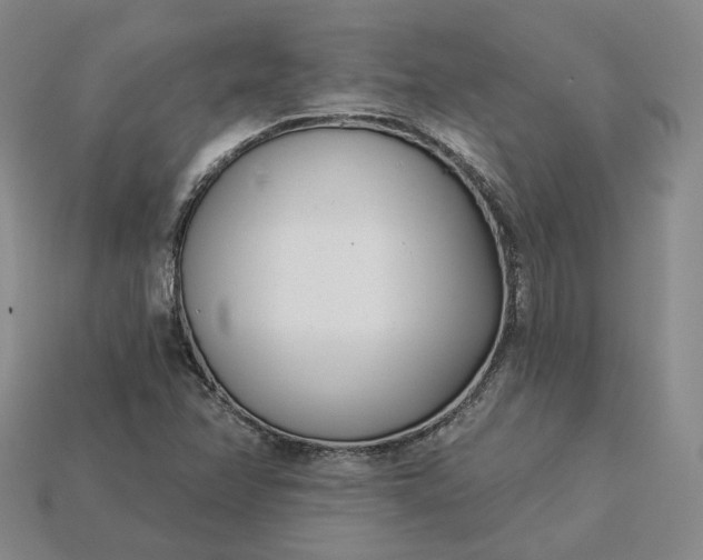 X0000115251358200911131716