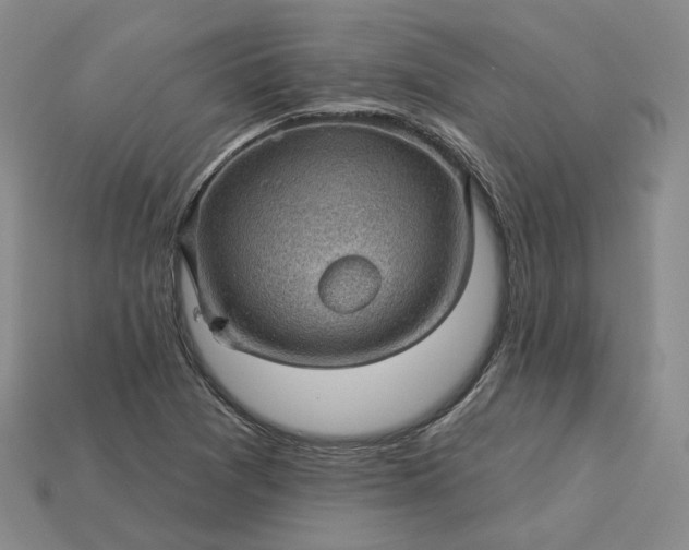 X0000115251361200911131716