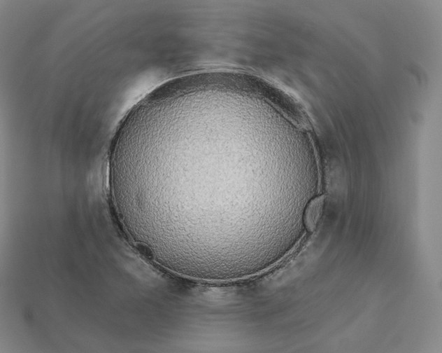 X0000115251365200911131716