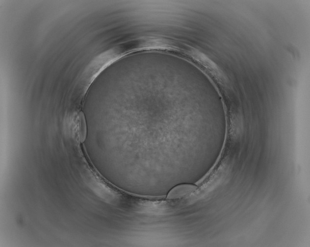 X0000115251369200911131716