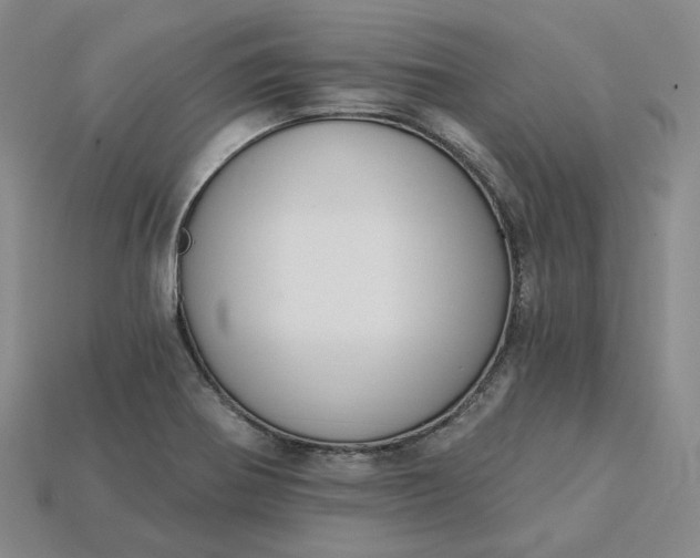 X0000115251370200911131716