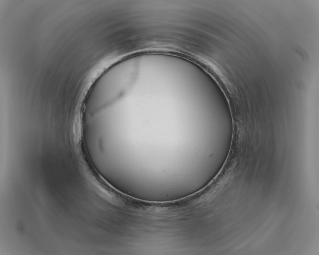 X0000115251371200911131716