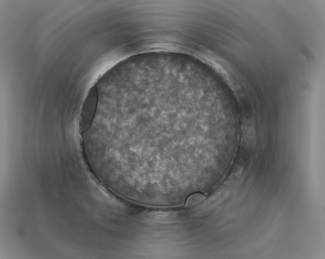 X0000115251373200911131716
