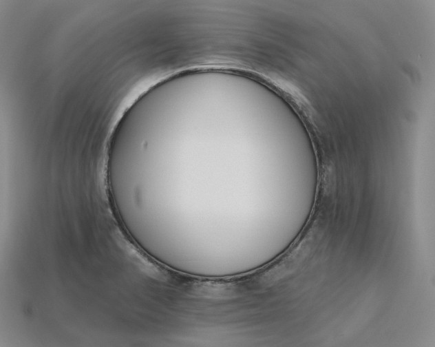 X0000115251374200911131716