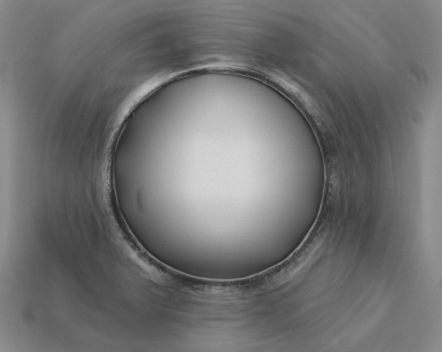 X0000115251375200911131716