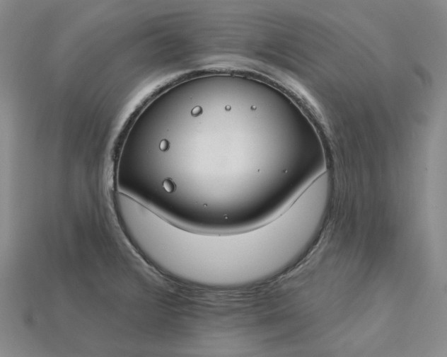 X0000115251376200911131716