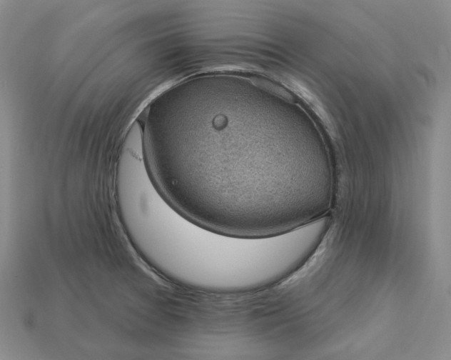 X0000115251377200911131716