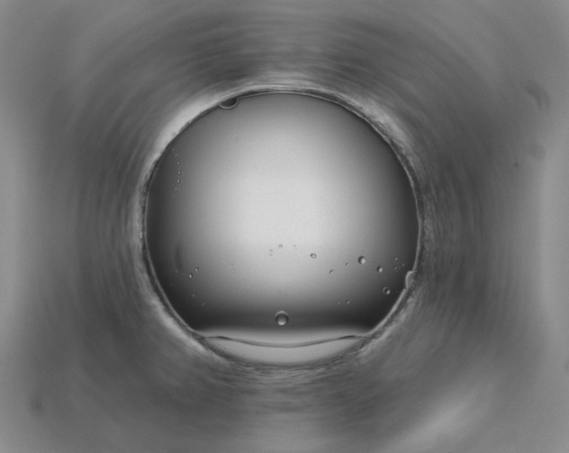 X0000115251382200911131716