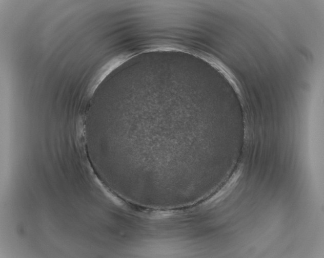 X0000115251385200911131715