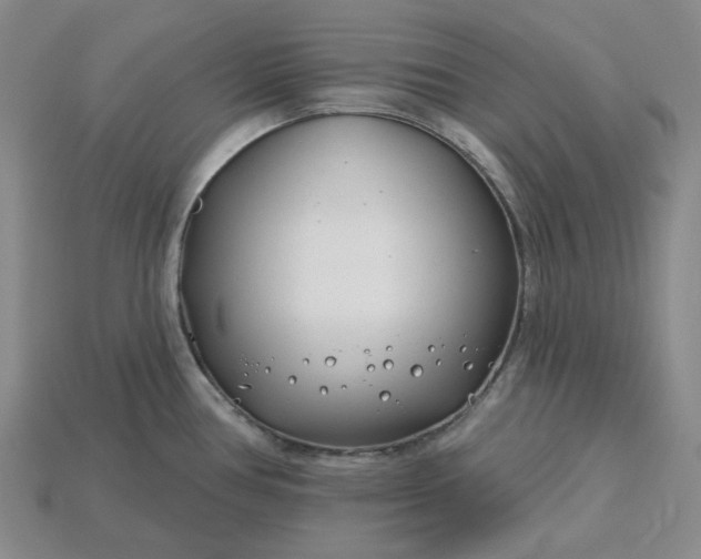 X0000115251386200911131715