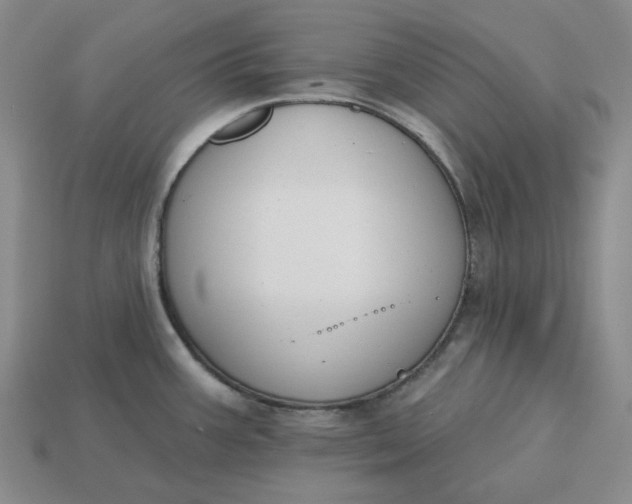 X0000115251387200911131715