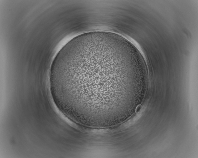 X0000115251389200911131715