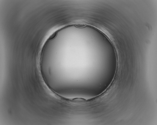 X0000115251392200911131715