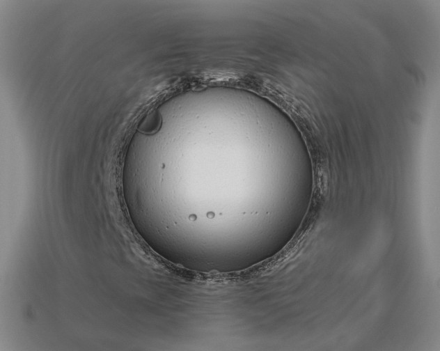 X0000115251393200911131715