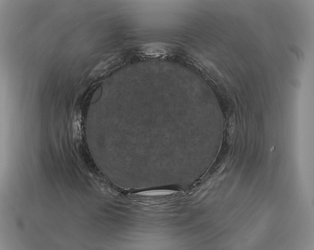X0000115251394200911131715