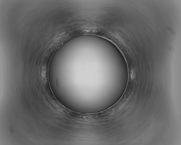 X0000115251396200911131715