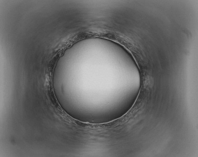 X0000115251397200911131715