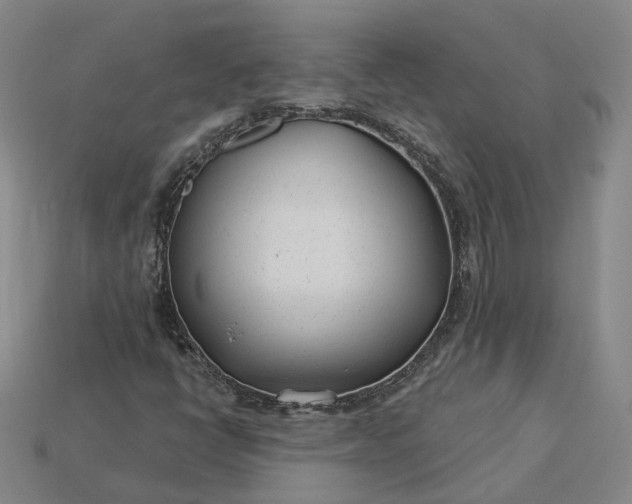 X0000115251398200911131715