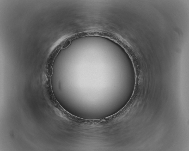 X0000115251400200911131715