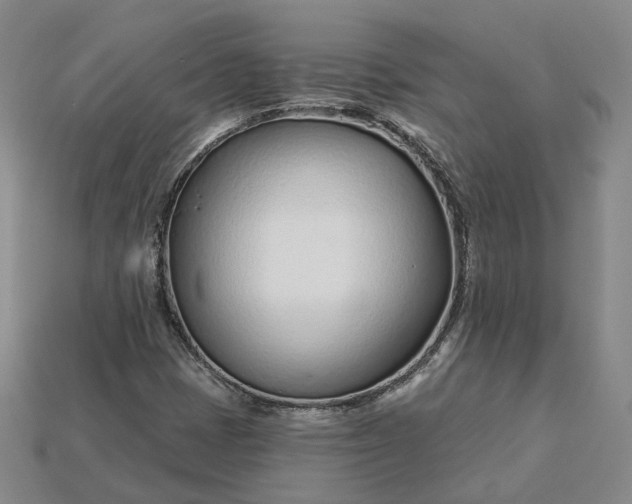 X0000115251401200911131715