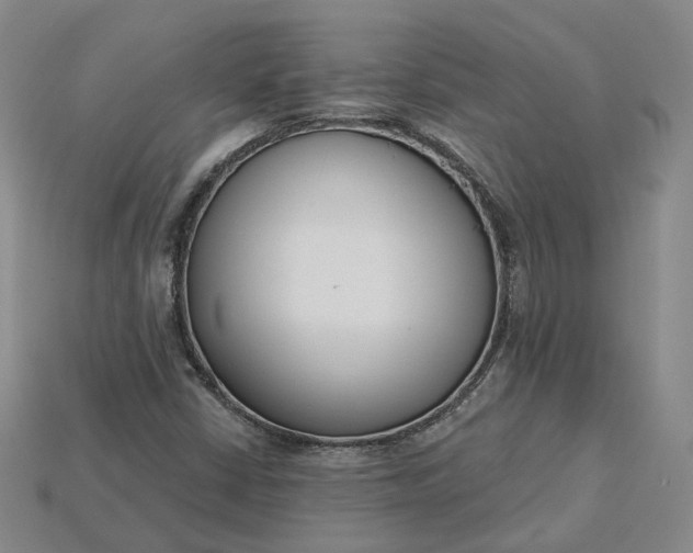 X0000115251402200911131715