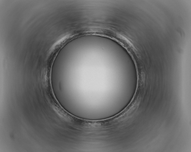 X0000115251403200911131715