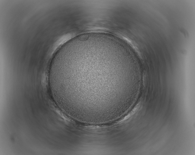 X0000115251405200911131715