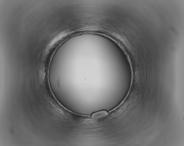 X0000115251406200911131715