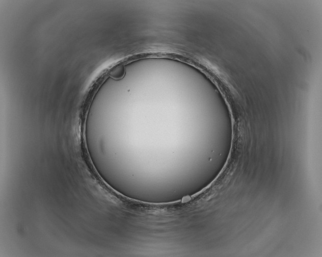 X0000115251408200911131715