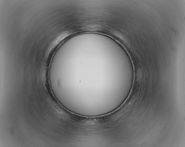 X0000115251410200911131715